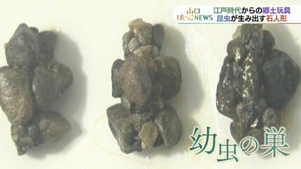 山口県岩国市に伝わる「おもちゃ」は昆虫が作った芸術作品だった