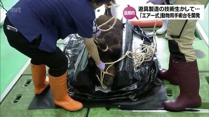 動物用エアー式手術台「ここでもオペ」 手術時間の短縮や負担軽減 開発