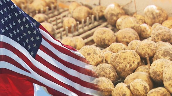 米国産「生ジャガイモ」輸入解禁への動きに北海道内の農家ら反発　病害虫リスクで国産全滅の懸念も「誰にとって幸せなのかな」道産イモ産地のリアルな声　|　北海道のニュース｜HBC北海道放送