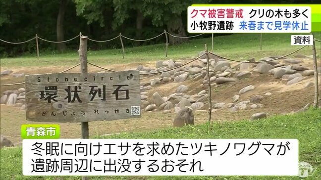 クマによる人的被害受け「小牧野遺跡」の見学が8日から休止に　2026年4月30日まで　冬眠に向けエサ求めるツキノワグマが遺跡周辺に出没する恐れあり　青森市|TBS NEWS DIG
