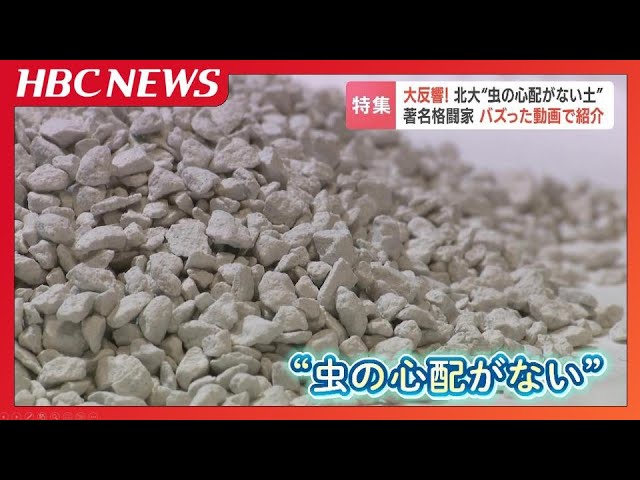 格闘家・朝倉未来さんの紹介動画でバズった『虫の心配がない土』親子で描く近未来 中東の乾燥地帯で新鮮な野菜を…狙うは2030年サウジアラビアの万博|TBS NEWS DIG