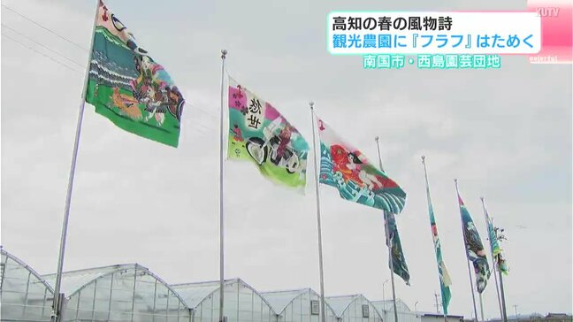 「豪快で高知っぽい」高知の春の風物詩 西島園芸団地に『フラフ』はためく|TBS NEWS DIG