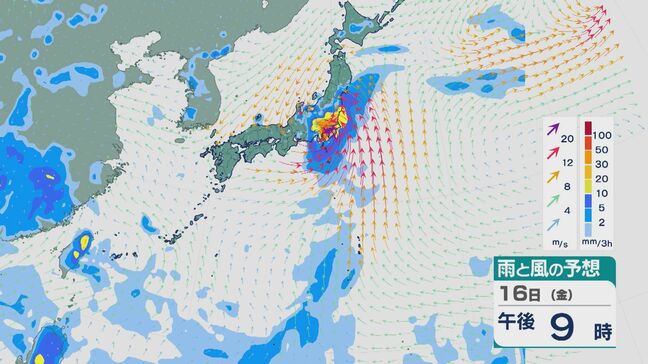 台風の発生が続く中、日本の南海上の熱帯低気圧 が“台風7号”に発達し北上の見込み 今週末にかけて関東直撃のおそれも 雨と風シミュレーション|TBS NEWS DIG