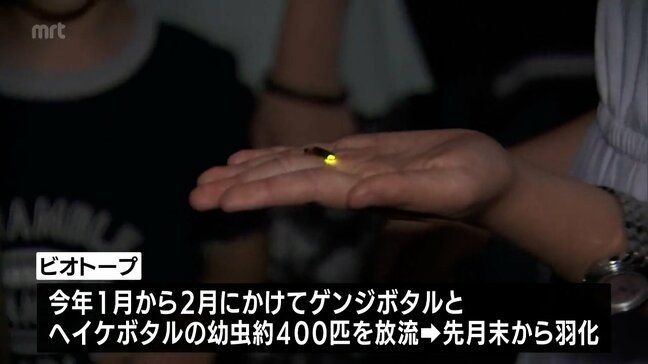 生徒たちが飼育するホタルが一般公開　門川高校「ホタルプロジェクト」|TBS NEWS DIG