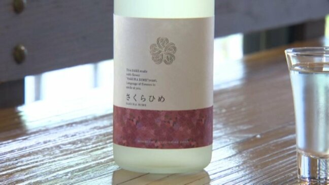 「素直にすごく嬉しく思っている」パリで開かれた日本酒コンテストで最高賞 愛媛オリジナル品種「さくらひめ」の酵母から造られた日本酒 愛媛県|TBS NEWS DIG