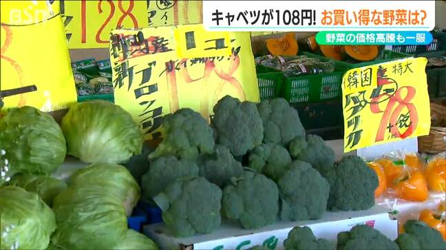 今“お買い得”なお野菜は?「サラダ系が安く 夏野菜も」葉物は落ち着くも ジャガイモやニンジンは例年より高く 新潟市|TBS NEWS DIG