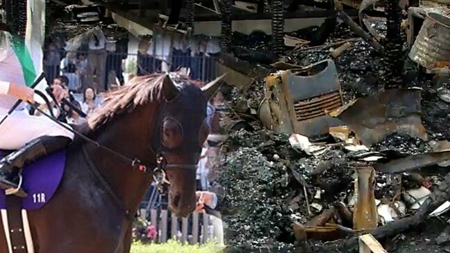 「天皇賞」出走のハヤテノフクノスケ　レース当日に生産牧場で火事が…　牧場長「ただ見ているしか…」きゅう舎など全焼　エサも工具も焼けて苦境のなかで広がる“支援の輪”「ファンの思い伝わってくる」　|TBS NEWS DIG