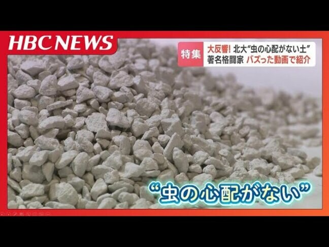 格闘家・朝倉未来さんの紹介動画でバズった『虫の心配がない土』親子で描く近未来 中東の乾燥地帯で新鮮な野菜を…狙うは2030年サウジアラビアの万博|TBS NEWS DIG