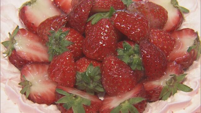 ポケモンのケーキや彩り鮮やかなスペイン料理 調理製菓専門学校生の卒業作品展開かれる|TBS NEWS DIG