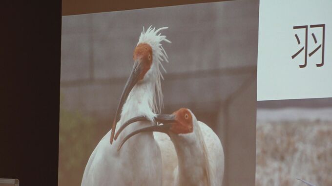 「トキは何を食べてるのかな？」石川県での放鳥を前に親子でトキの生態を学ぶ　|　石川県のニュース｜MRO北陸放送