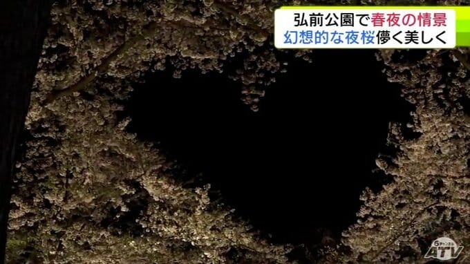 弘前の夜桜　夜空に浮かぶ桜色のハートの絶景　園内のソメイヨシノは「3分散り」もひと際輝き放つのは園内最古・推定樹齢145年のソメイヨシノ　訪れた人からは「世界一のサクラだ」|TBS NEWS DIG