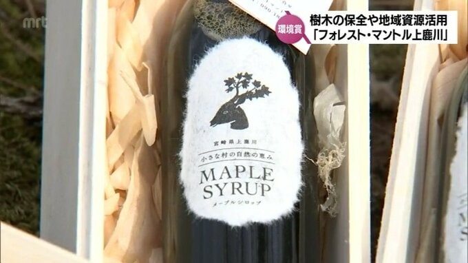 シカの食害対策にメープルシロップづくり　森を次世代へつなぐ「フォレスト・マントル上鹿川」(延岡市)　2024年度「MRT環境賞」(3)　|　MRTニュース ｜ ＭＲＴ宮崎放送