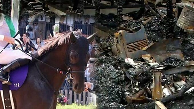 「天皇賞」出走のハヤテノフクノスケ　レース当日に生産牧場で火事が…　牧場長「ただ見ているしか…」きゅう舎など全焼　エサも工具も焼けて苦境のなかで広がる“支援の輪”「ファンの思い伝わってくる」　　|　青森のニュース│ATV NEWS│青森テレビ