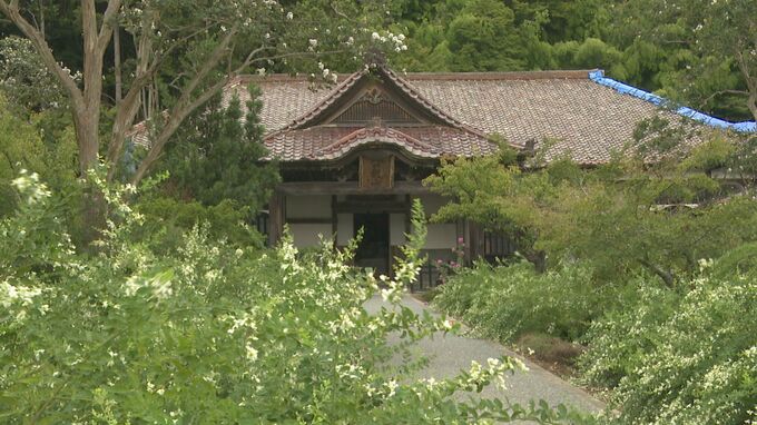 猛暑で1週間遅れの見ごろ…萩寺“実性院”で風に揺られるハギの花　|　石川県のニュース｜MRO北陸放送