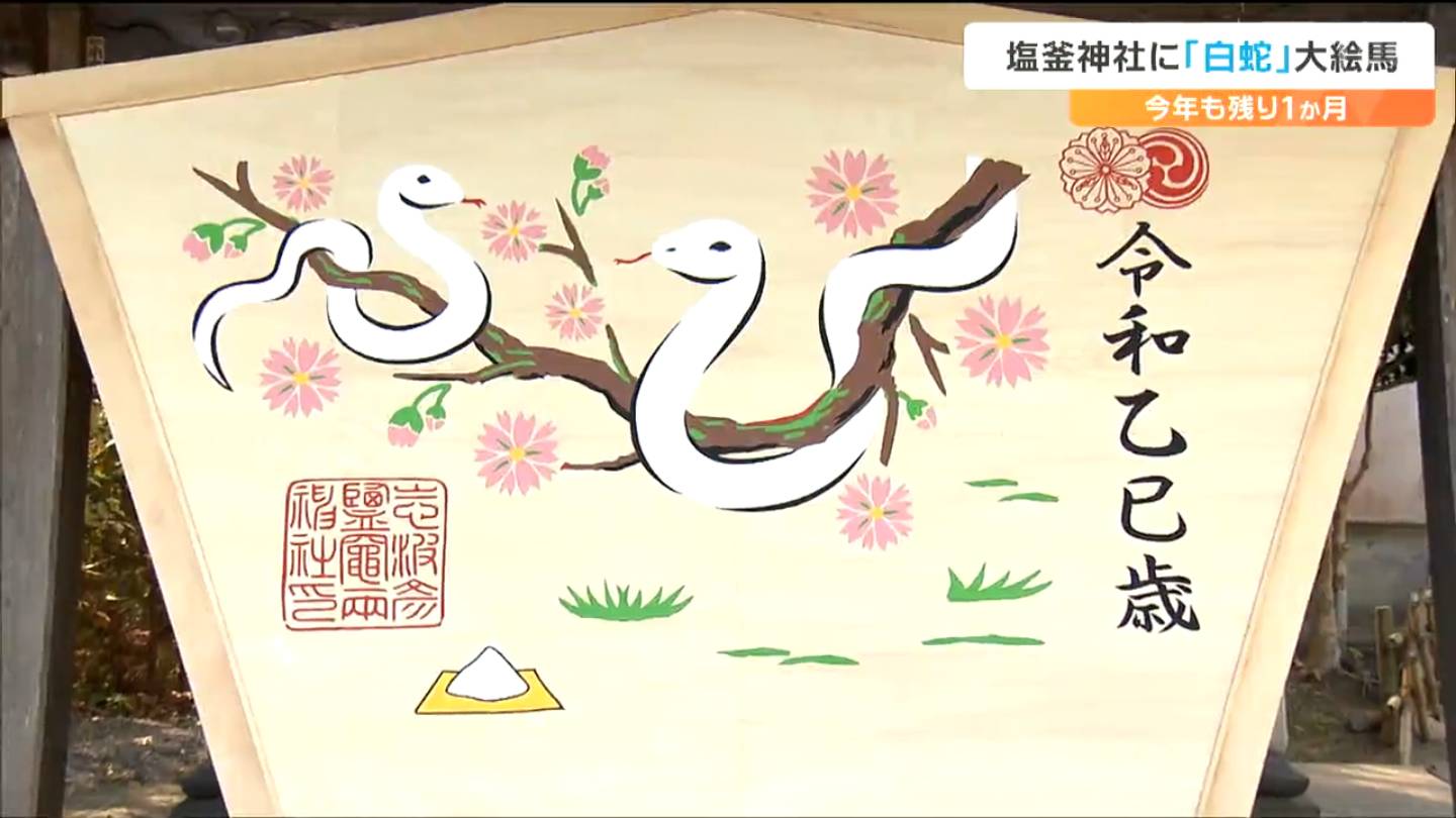 ⭐️エル⭐️ 特大の白蛇様三体☆ 白蛇 大帯 フラワーオブライフ 孔雀 羽 金 ⭐️エル⭐️ 特大の白蛇様三体☆ 白蛇 大帯 フラワーオブライフ