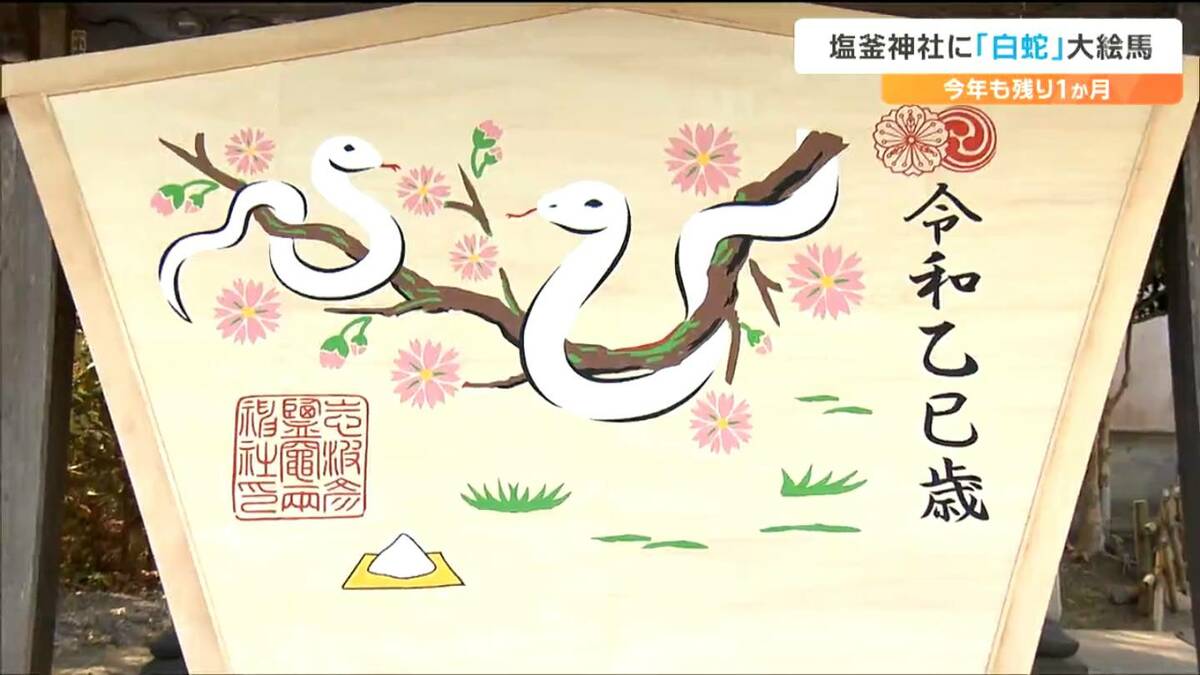 ⭐️エル⭐️ 特大の白蛇様三体☆ 白蛇 大帯 フラワーオブライフ 孔雀 羽 金 蛇のように細く長く健康で幸多い年となるように」塩釜神社で重さ300