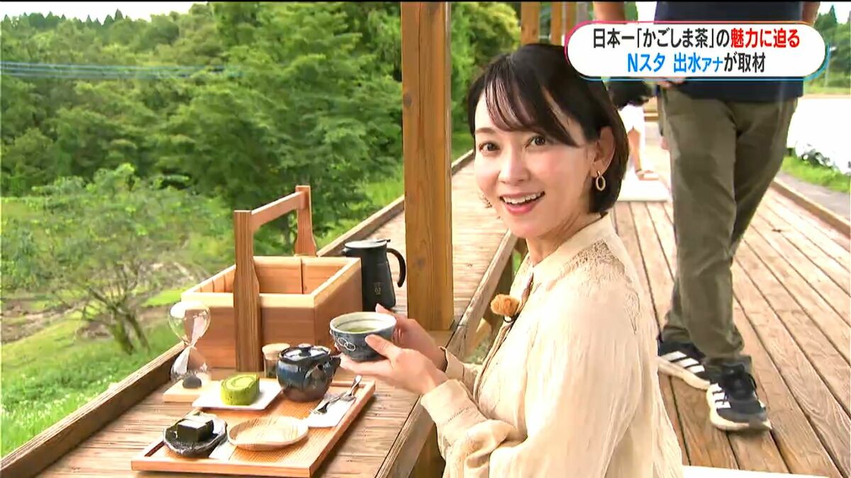 TBS出水麻衣アナが“かごしま茶”を取材　2年連続「荒茶生産量」日本一かごしま茶の魅力に迫る　課題の知名度は？（1）