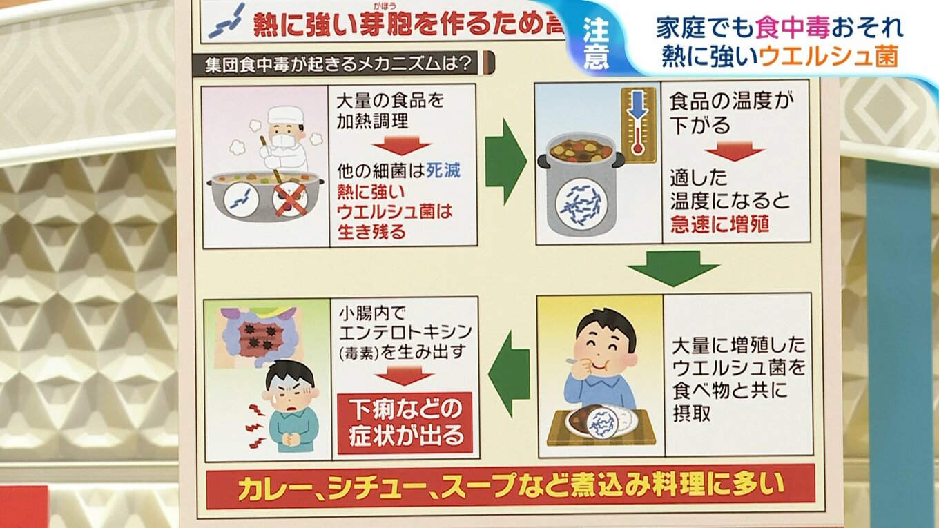 シュトンゲルのリーフレット