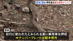 栃木・那須町の2人遺体遺棄事件　押収した車が栃木県外ナンバー　東京方面から現場周辺を走行か　死亡男性は遺体発見の前日夜に東京・上野で姿も|TBS NEWS DIG