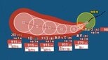 【台風情報】 最大瞬間風速 75 m/s予想...「台風13号（ドルフィン）」猛烈な勢力へ発達見込み　今後の進路は？8月7日（金）にかけて雨・風シミュレーション＆全国各都市の天気予報【気象庁28日午前3時50分発表】　|　岡山・香川のニュース | 天気 | RSK山陽放送