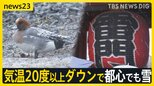 春の陽気から一転…気温20℃以上ダウンで都心でも雪　4日も都心で積雪の恐れ　首都高速などで「予防的通行止め」の可能性も【news23】|TBS NEWS DIG