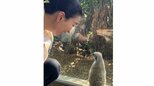 【真矢ミキ】3か月の留学から帰国後「私の毎春楽しみな新玉にギリ間に合いました」可愛い南半球の動物たちの写真と共に思い出も語る|TBS NEWS DIG