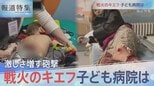 砲撃続くキエフ 戦火の子ども病院【報道特集】 | 山形のニュース│TUYテレビユー山形