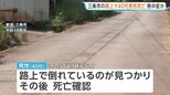 路上で40代男性死亡 熱中症か 新潟・三条市 熱中症なら今年新潟県内では初めての死者|TBS NEWS DIG