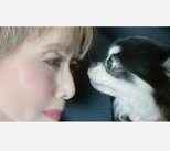 【 小柳ルミ子 】 亡き愛犬への想い 「ルルたんの話をすると まだ まだ まだまだ 涙が出ます」 ブログに綴る|TBS NEWS DIG