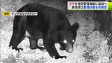 「今後検討していく必要がある」クマを「指定管理鳥獣」に追加へ しかし…東北6県で『青森県のみ』支援に必要な「特定鳥獣管理計画」が策定されておらず… | 青森のニュース│ATV NEWS│青森テレビ