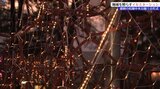 LEDおよそ10万個「まつぞの光のファンタジー」 イルミネーション点灯式 盛岡市|TBS NEWS DIG