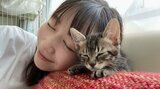 【岡本夏美】保護猫の里親に「新しい家族をご紹介します!」|TBS NEWS DIG