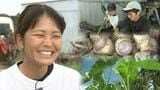 「田芋が好き、ただ好き」 田芋に魅せられ県外から移住した女性 夫と二人三脚で田芋産業の未来を創る | 沖縄のニュース|RBC 琉球放送