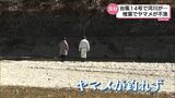 椎葉村では記録的不漁に 渓流に春を告げるヤマメ釣り 去年9月の台風14号の影響 | MRTニュース | MRT宮崎放送