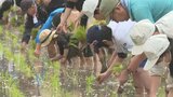 「日本の棚田百選」両合棚田で御田植祭 | 大分のニュース|OBS NEWS|大分放送
