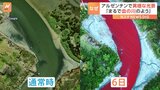 「まるで血の川のよう」アルゼンチンの川が突然真っ赤に　化学廃棄物による汚染の可能性も　住民の間で不安広がる|TBS NEWS DIG