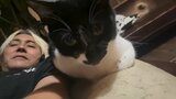 【 ヒロシ 】愛猫・あっちゃん3歳に「誕生日おめでとう」「明日美味いもん食おう」 フォロワーも祝意「これからもずっとそばにいてね」|TBS NEWS DIG