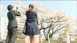 仙台でサクラ満開「観測史上最も早く」 | 宮城のニュース│tbc NEWS│tbc東北放送