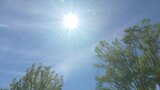甲府と大月で35℃以上の猛暑日になる一方 大気の状態が非常に不安定 局地的な激しい雨などに注意 | 山梨のニュース | UTYテレビ山梨