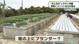 畑の上にコンクリートのプランター!? 赤土流出を防ぐ「ベジィベッド」 | 沖縄のニュース|RBC 琉球放送