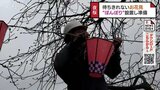 夜桜を情緒たっぷりと　花見シーズンに向けて”ぼんぼり”設置　魚津市の桜の名所　富山|TBS NEWS DIG