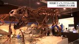 全長12mの成体骨格など約230点を展示「ティラノサウルス博」 入場者数5万人を突破 宮崎県総合博物館で7日まで | MRTニュース | MRT宮崎放送