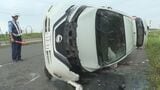乗用車が横転　運転していた23歳男性が死亡　車体に動物のものとみられる毛…根室市 国道44号|TBS NEWS DIG