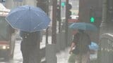27日の岩手県内 大雨となる所がある見込み|TBS NEWS DIG