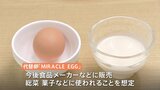 本物の卵と混ぜる「ハイブリッド」な代替卵 課題だった「味」を改善|TBS NEWS DIG
