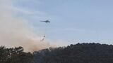 ギリシャで山火事が相次ぎ消防士3人が死亡　4度目の熱波襲来で首都アテネでも山火事リスク高まる|TBS NEWS DIG