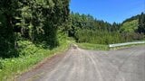 頭や腕に歯形や深い爪のあと...酒田市の男性遺体はクマによる傷が多数　生きた状態でクマに襲われたか（山形・酒田市）|TBS NEWS DIG