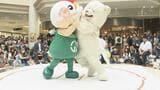 取組はゆるくない!ゆるキャラすもう大会 高速立ち上がりで押し出し! 「ドキドキしながら見てた」 青森県つがる市|TBS NEWS DIG
