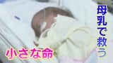 「母乳が出ない」わずか816グラムの娘にあげられない母の苦悩…救いはドナーミルク 一方“母乳を売る”女性たちも|TBS NEWS DIG