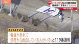 強風で倒れた看板の下敷きになり3人けが　いちご狩りの台湾からの観光客　那須町の観光施設で|TBS NEWS DIG